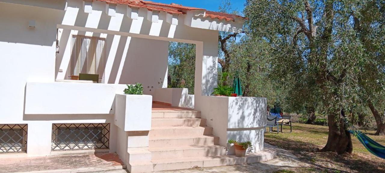 Olive&Sea Villa-Olive ماتيناتا المظهر الخارجي الصورة