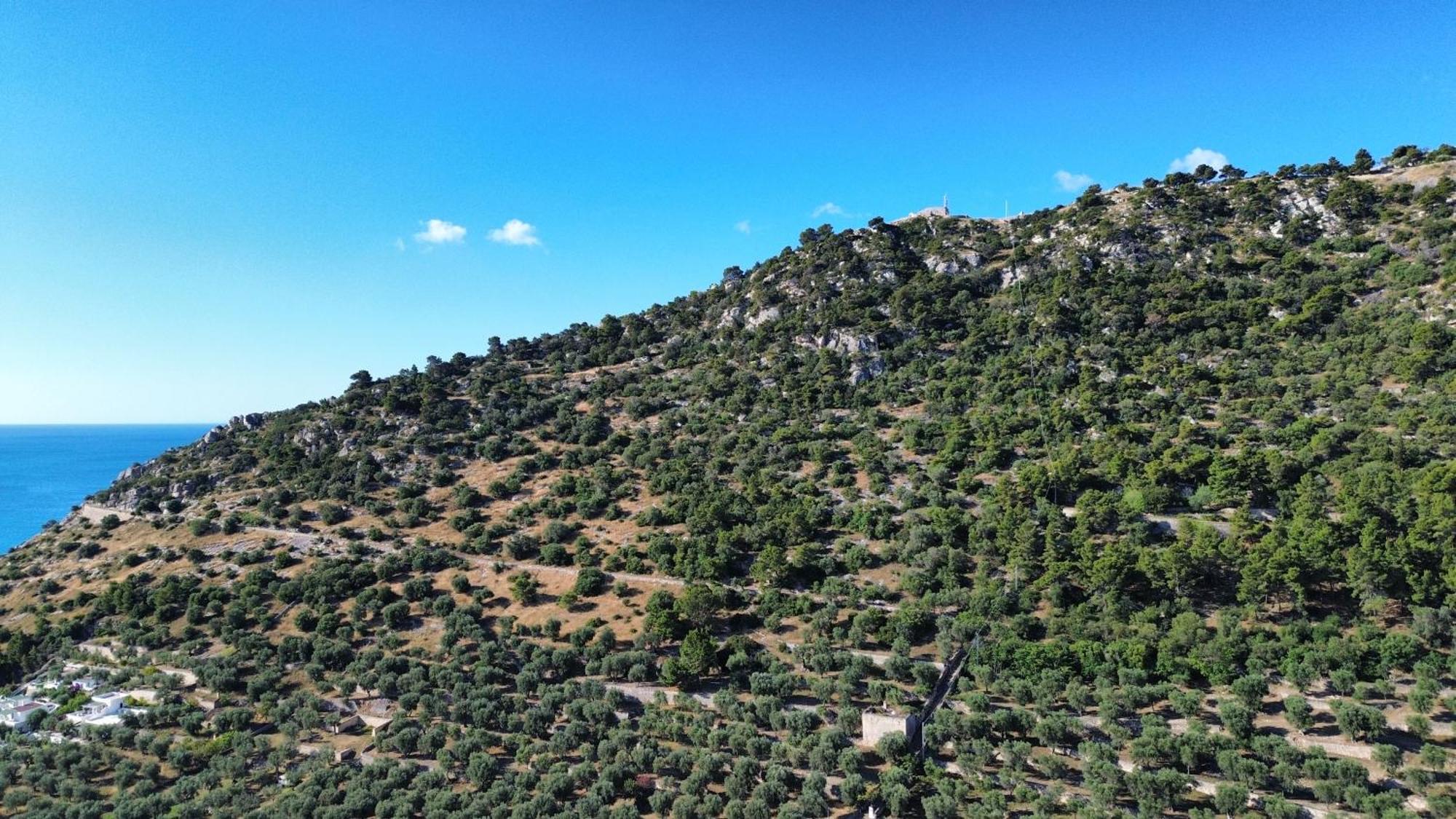 Olive&Sea Villa-Olive ماتيناتا المظهر الخارجي الصورة