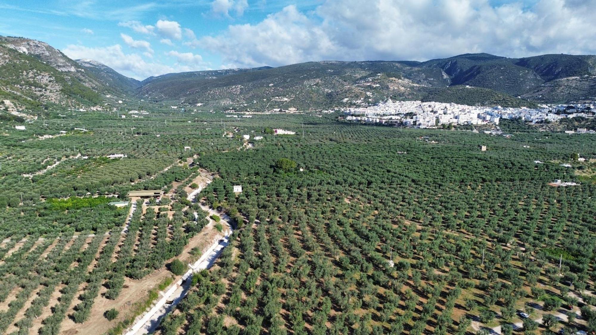 Olive&Sea Villa-Olive ماتيناتا المظهر الخارجي الصورة